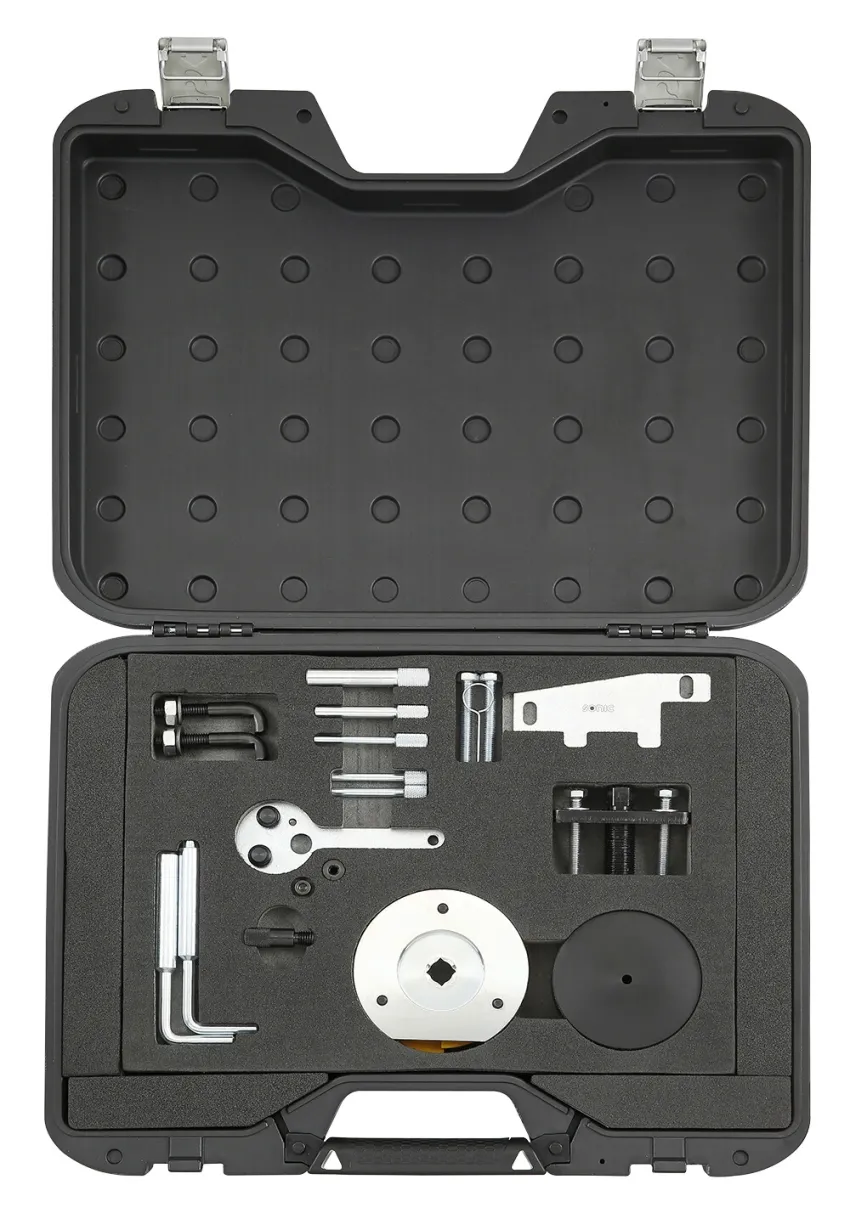 Einstellsatz Motor & Kraftstoffpumpe für Ford/LDV Diesel 2.0 – in case