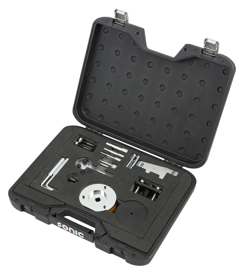 Einstellsatz Motor & Kraftstoffpumpe für Ford/LDV Diesel 2.0 – linke Seite