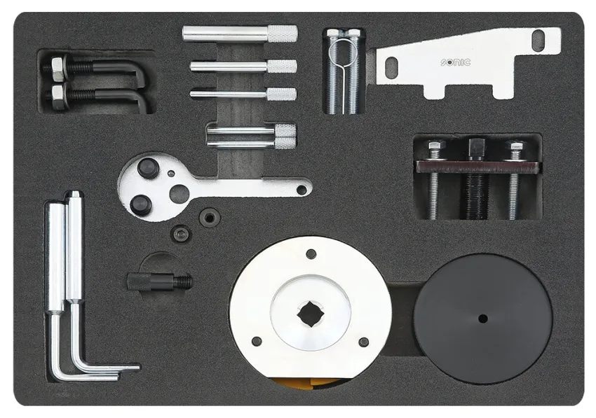 Einstellsatz Motor & Kraftstoffpumpe für Ford/LDV Diesel 2.0 – sfs